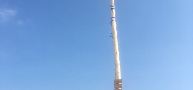Unser Maibaum 2017